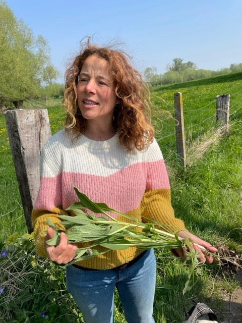 Doe eens wild! - Ga plukken