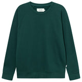 DEDICATED Malmoe base sweatshirt dark green men