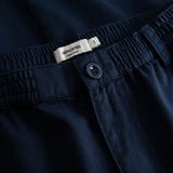 DEDICATED Hudiksvall chino pants navy men