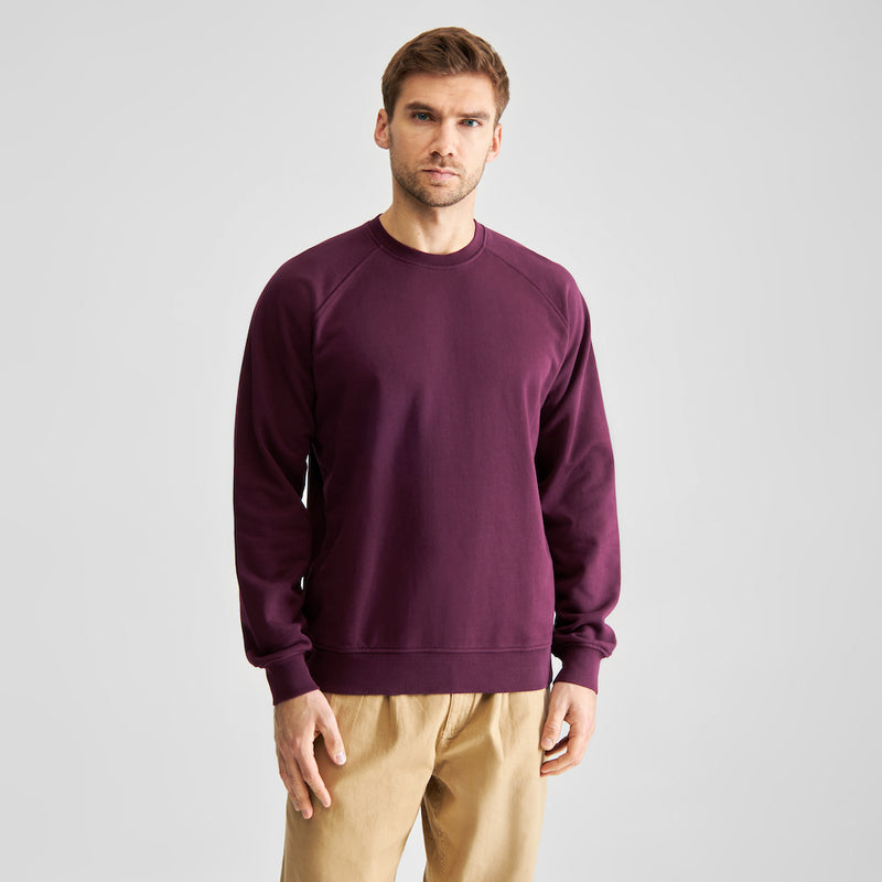 DEDICATED Malmoe base sweatshirt fig red men