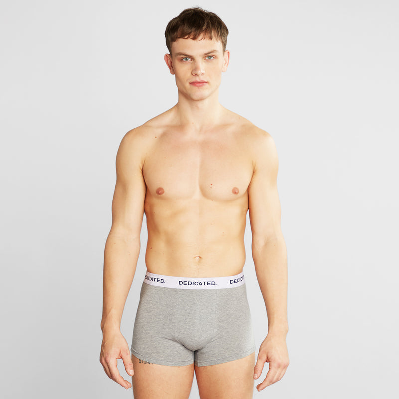 DEDICATED Boxer briefs kalix base grey melange